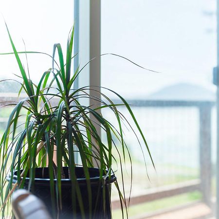 #Stayinmydistrict Oceanview Studio Loft Порт-Орфорд Экстерьер фото